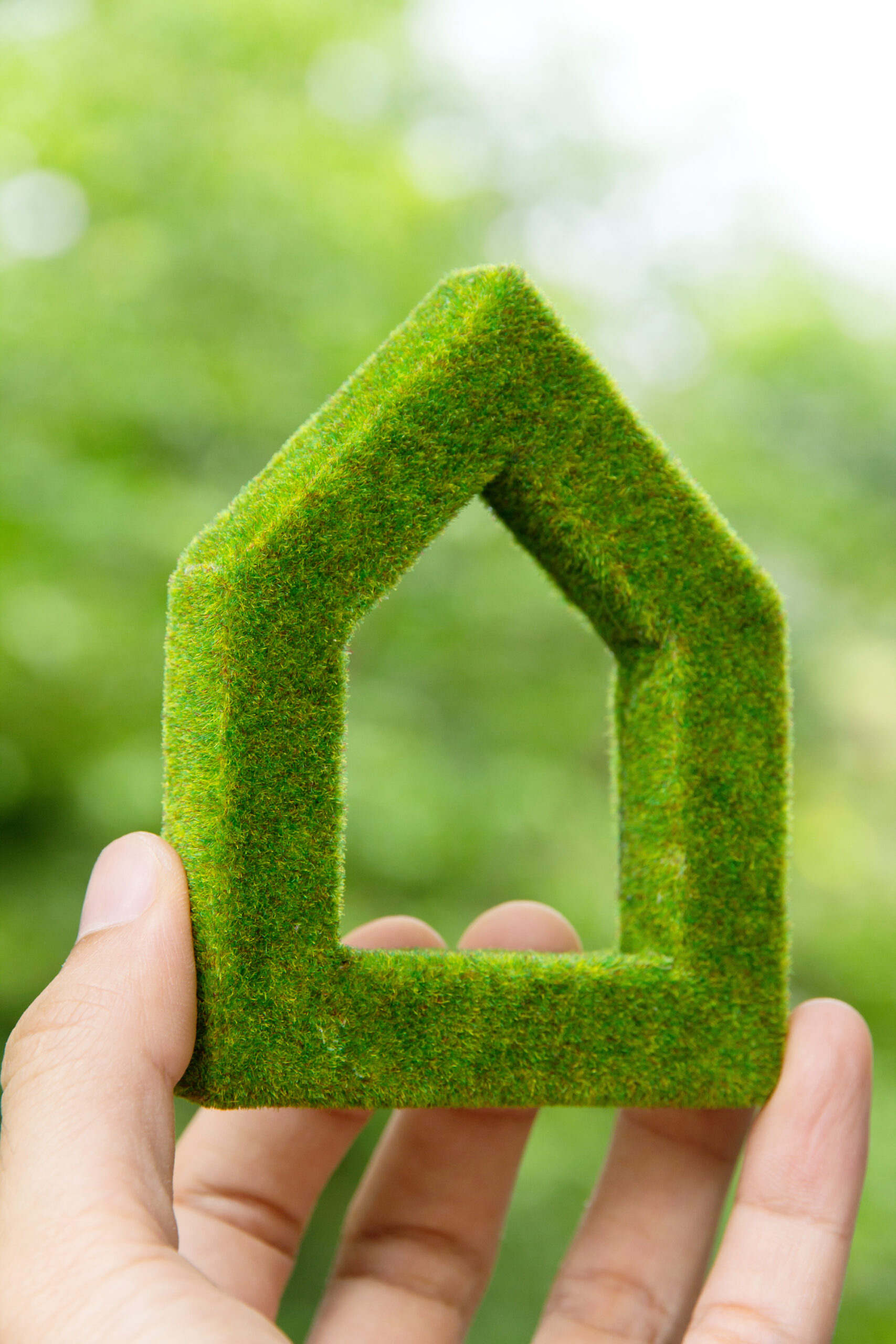 https://zenithbali.com/wp-content/uploads/2024/05/cropped-image-person-holding-green-house-shape-scaled.jpg